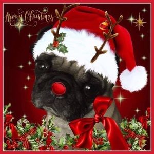 Meet your Posher, Sonja